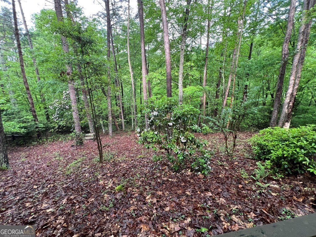 195 Kinwood Trail Murphy - 12