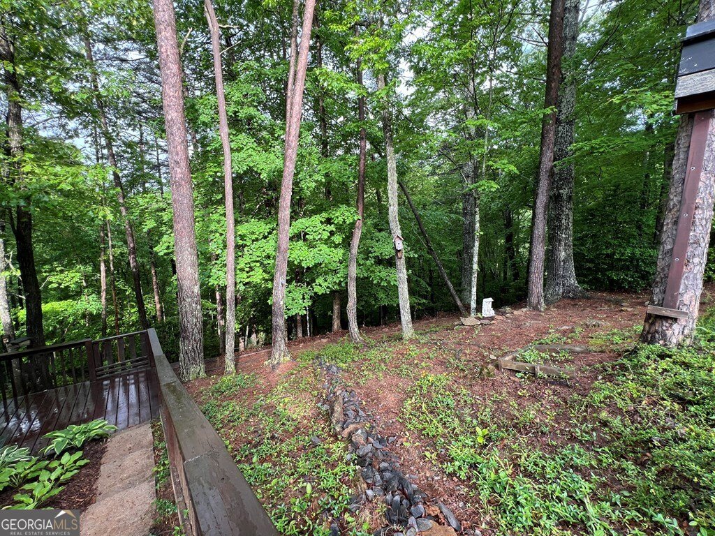 195 Kinwood Trail Murphy - 5