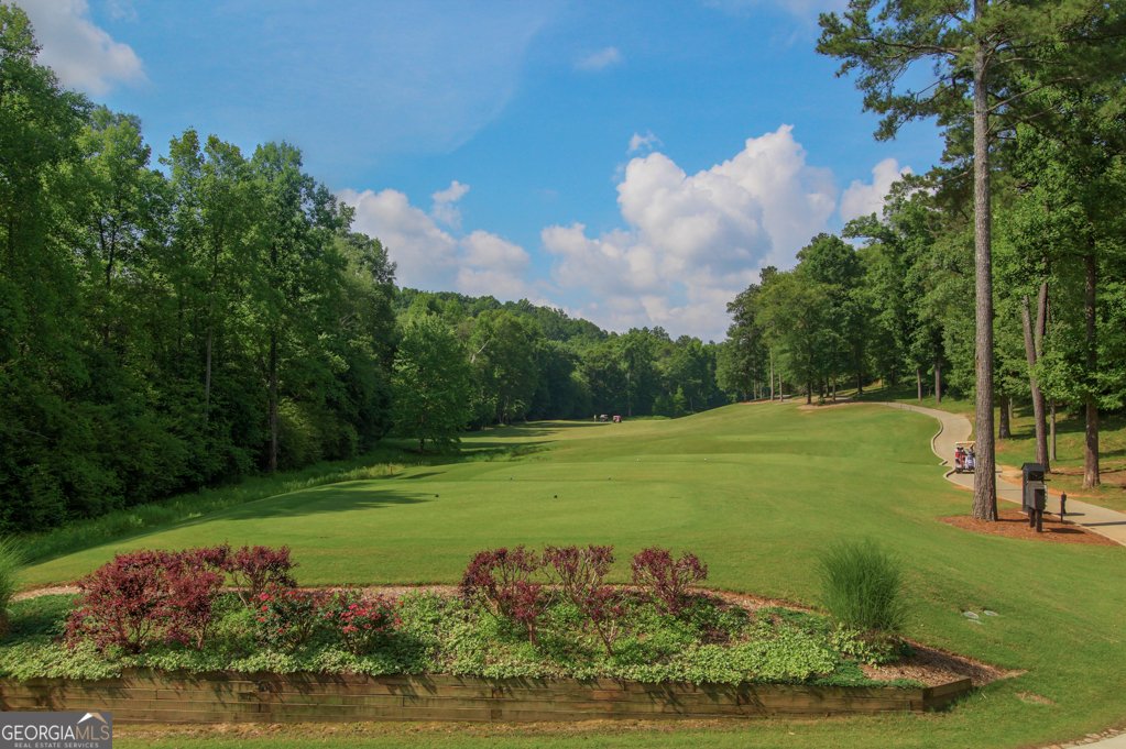 5703 Community Lane Hoschton - 39