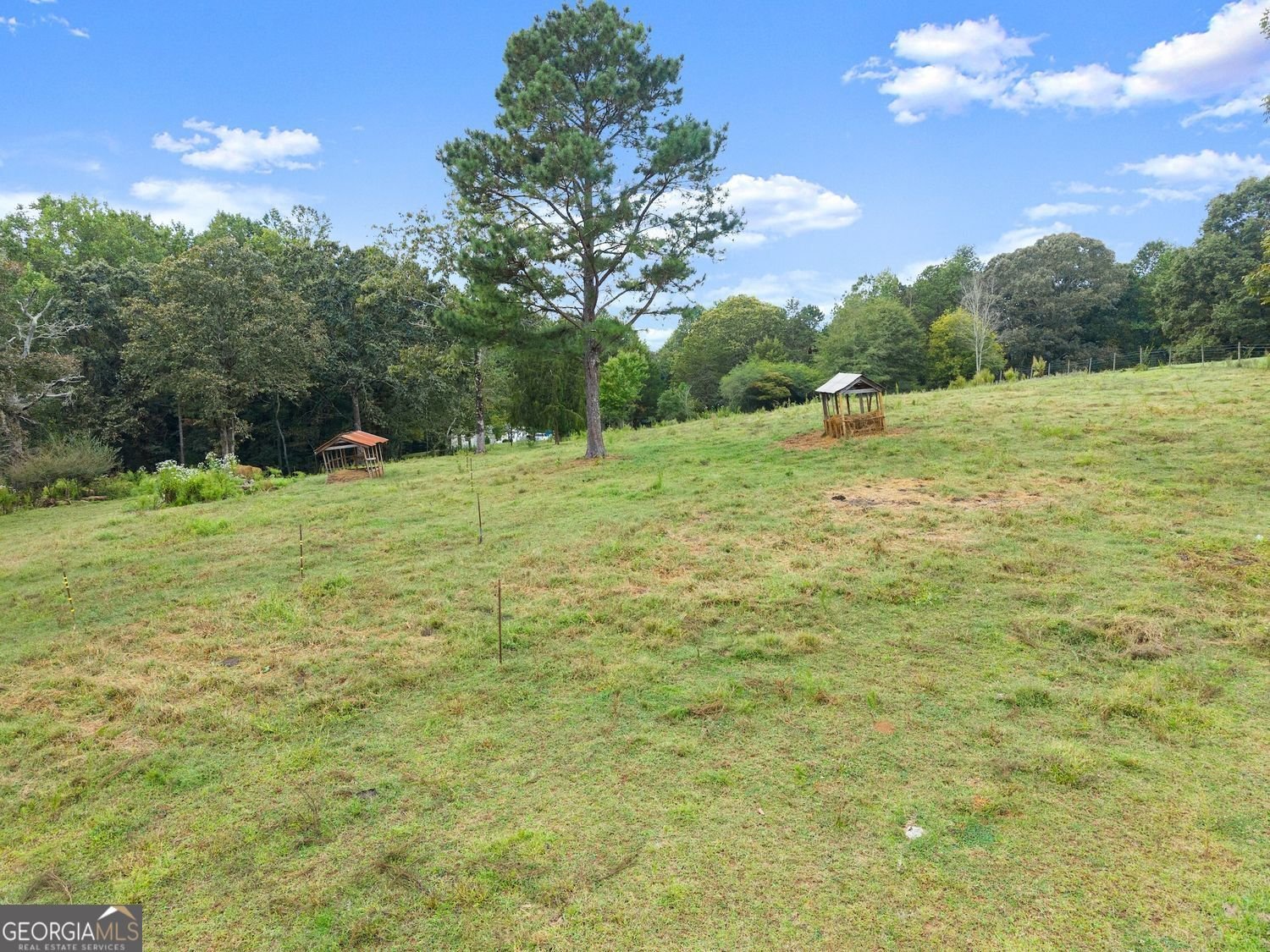8081 Mud Creek Road Alto - 14