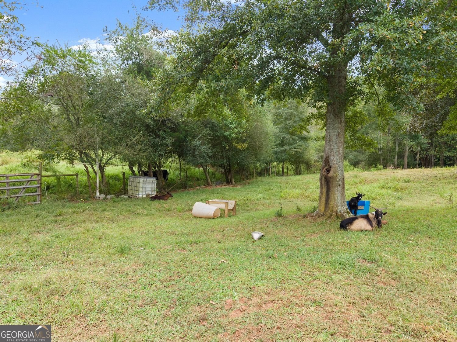 8081 Mud Creek Road Alto - 15