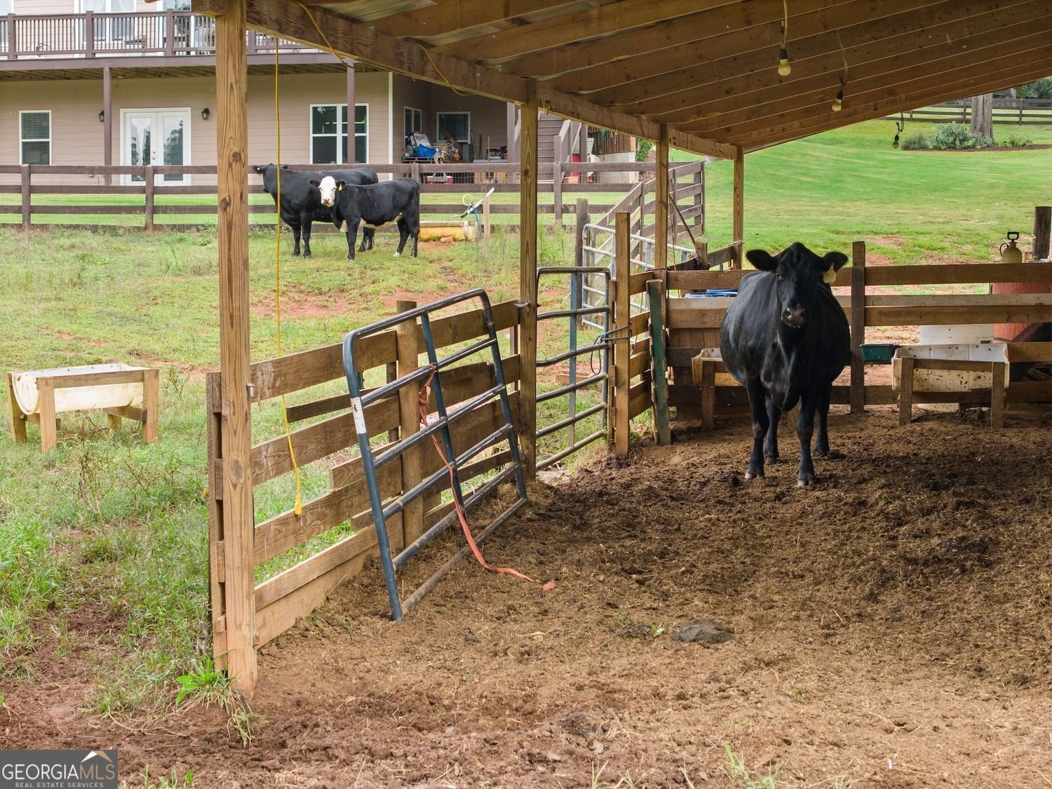 8081 Mud Creek Road Alto - 59