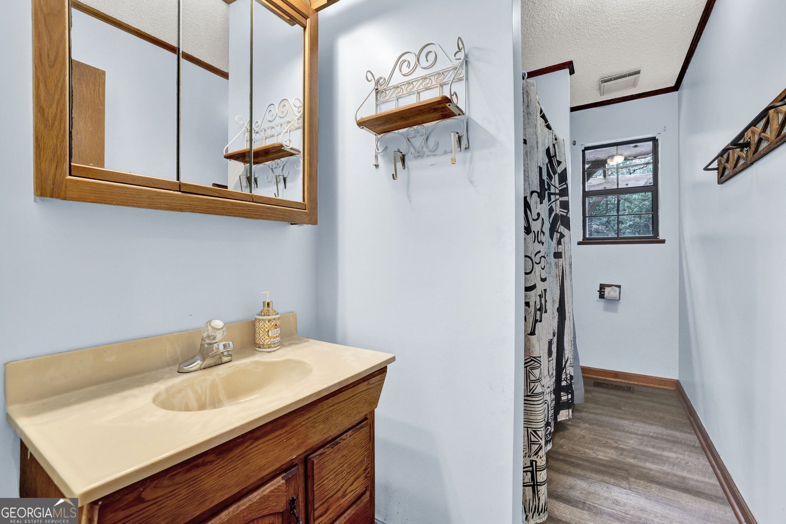 1527 Goldmine Road Dawsonville - 11