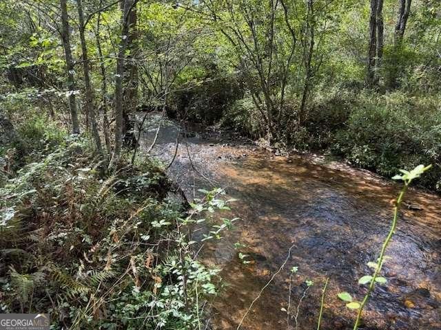 154 Foggy Meadow Drive Blairsville - 23
