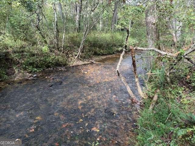 154 Foggy Meadow Drive Blairsville - 25