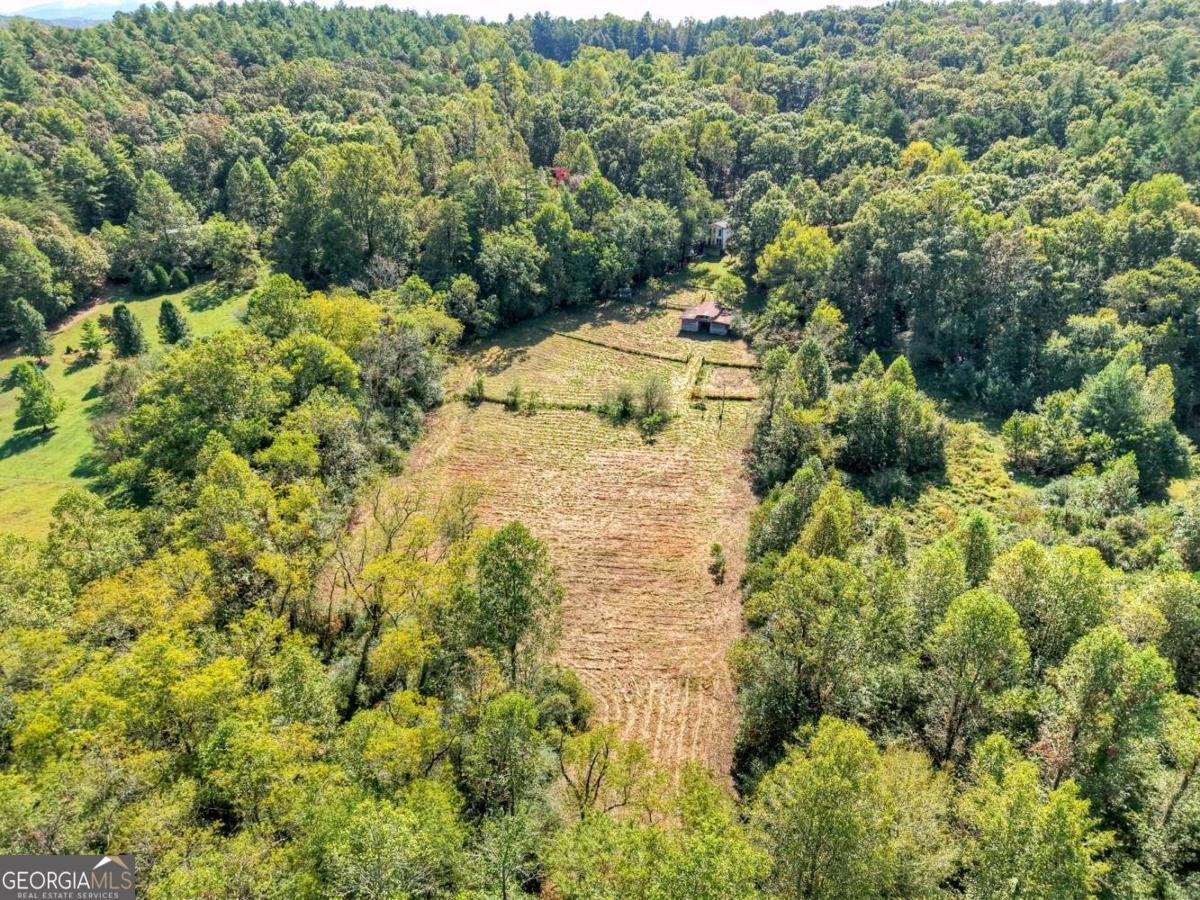 154 Foggy Meadow Drive Blairsville - 3