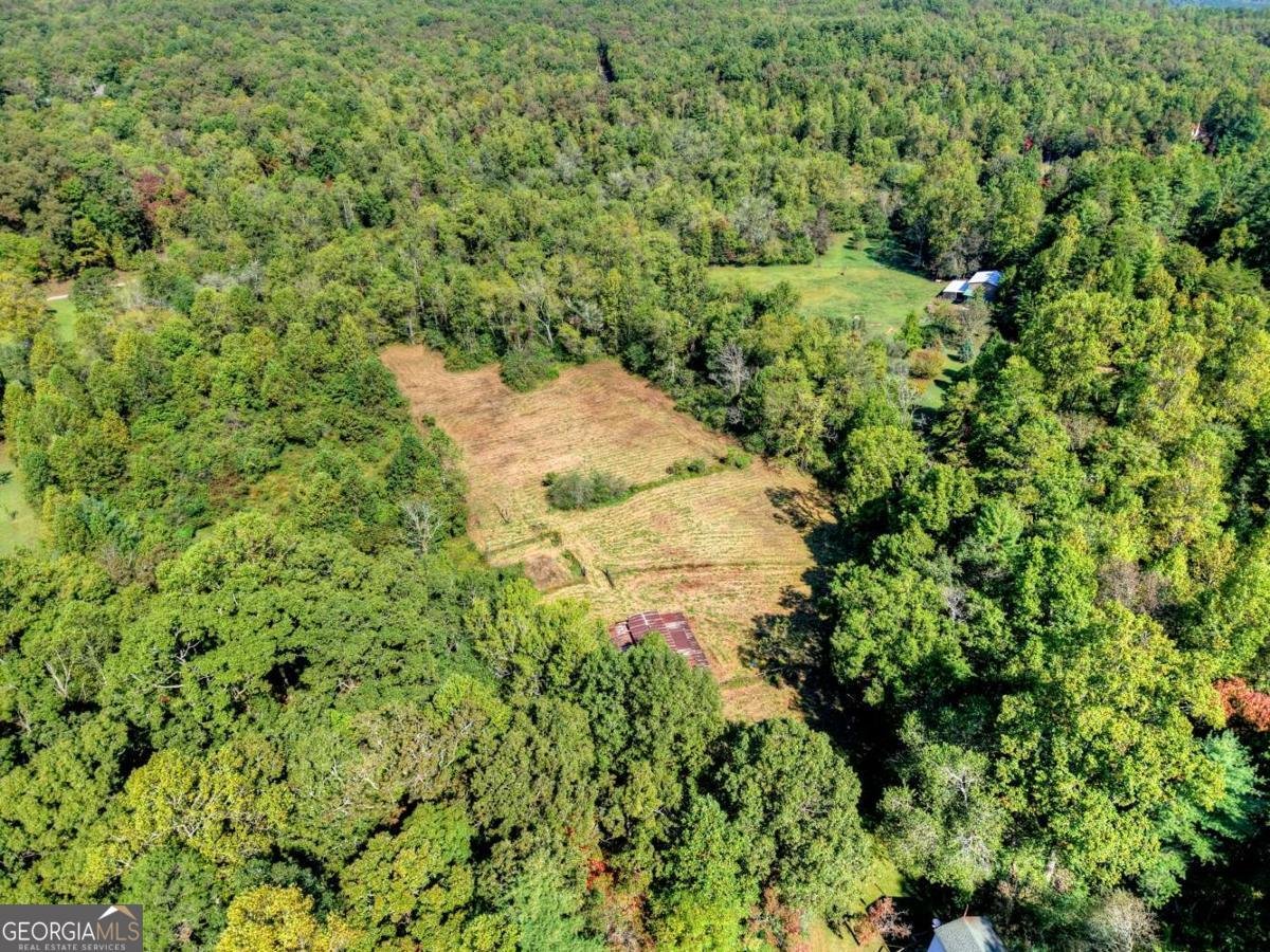 154 Foggy Meadow Drive Blairsville - 32