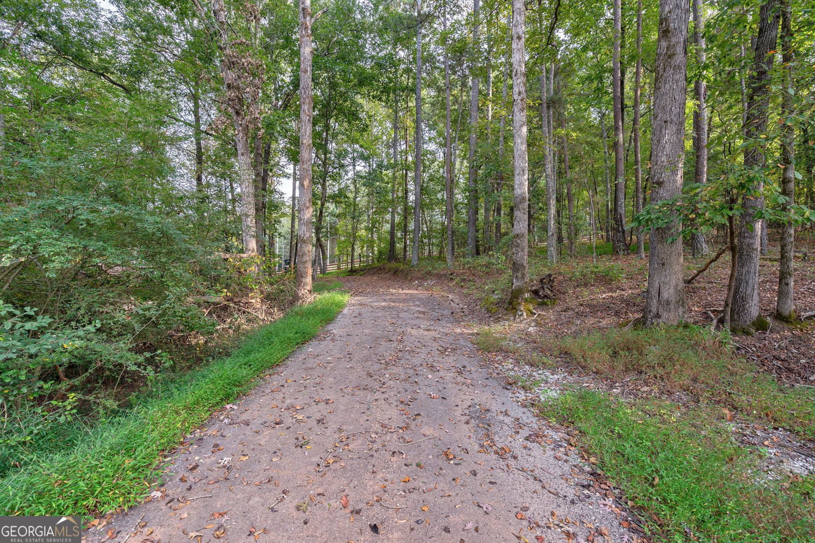 4459 Grady Smith Road Loganville - 15