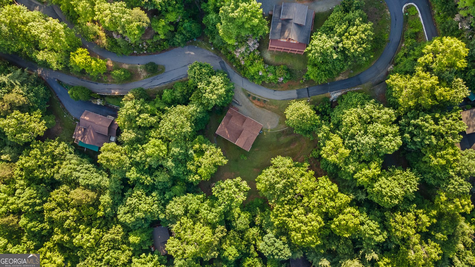 198 Monarch Butterfly Murphy - 10