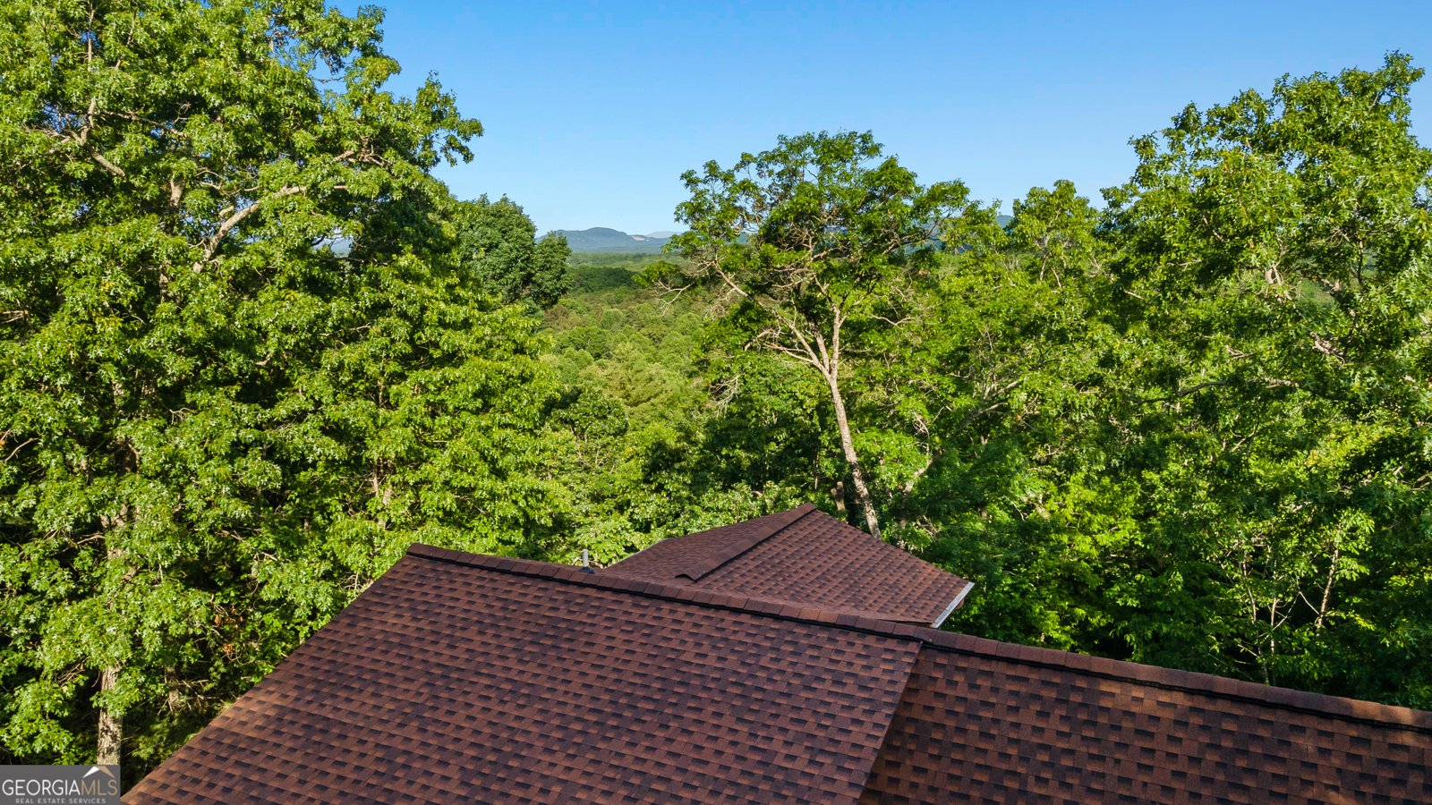 198 Monarch Butterfly Murphy - 11