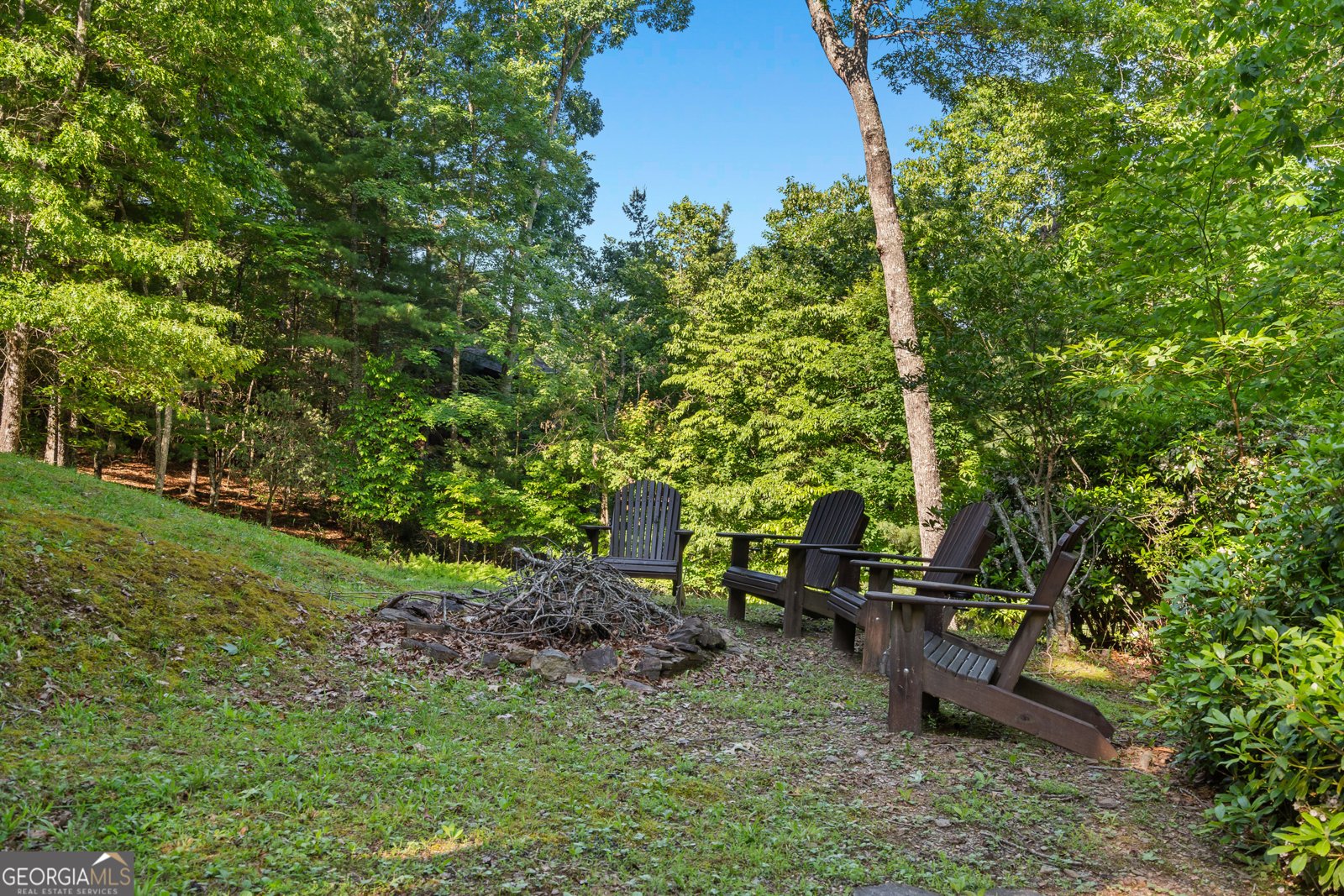 198 Monarch Butterfly Murphy - 45