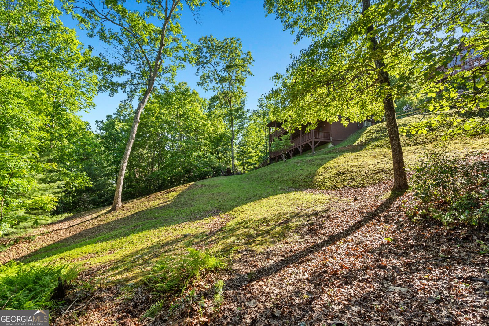 198 Monarch Butterfly Murphy - 46