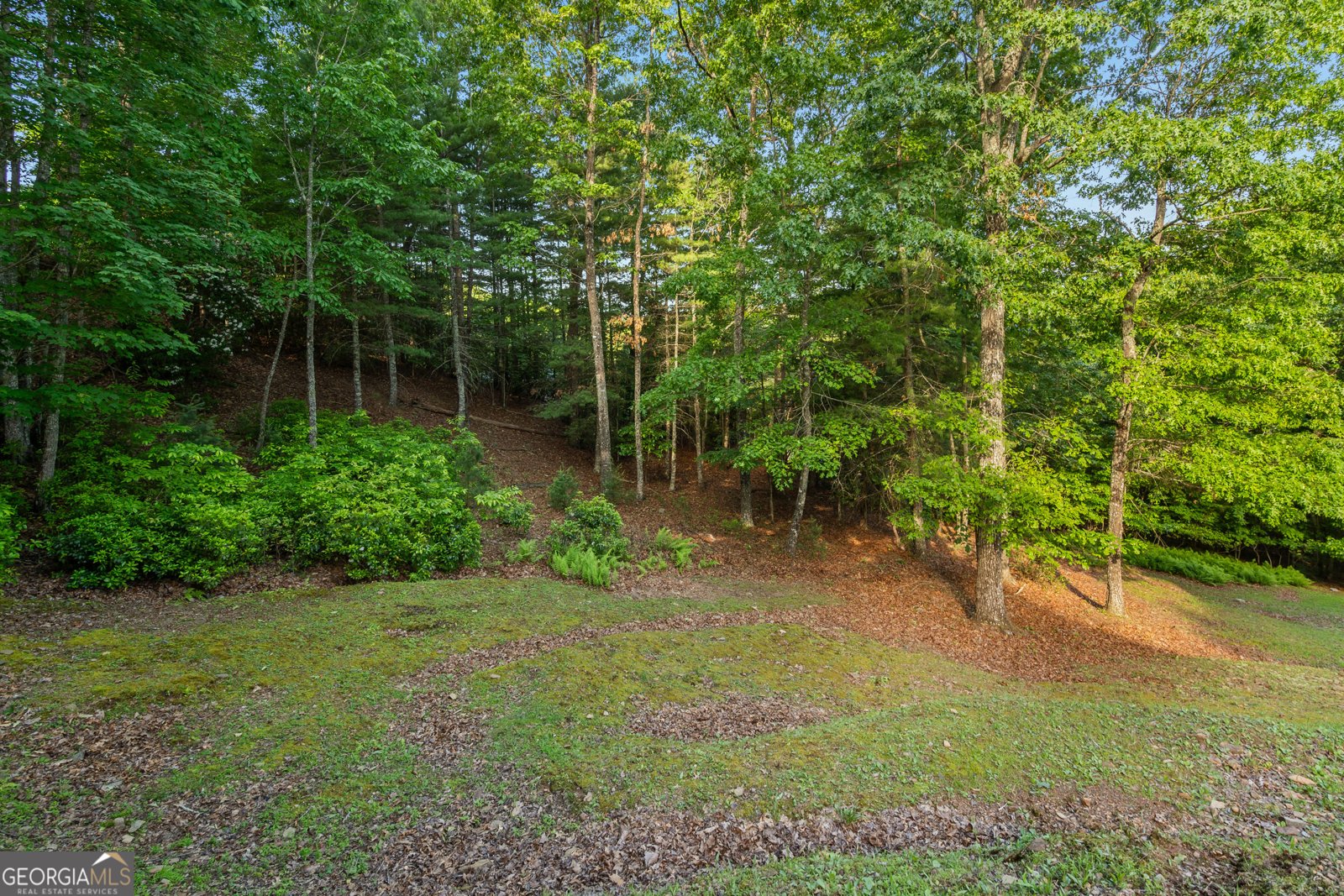 198 Monarch Butterfly Murphy - 47