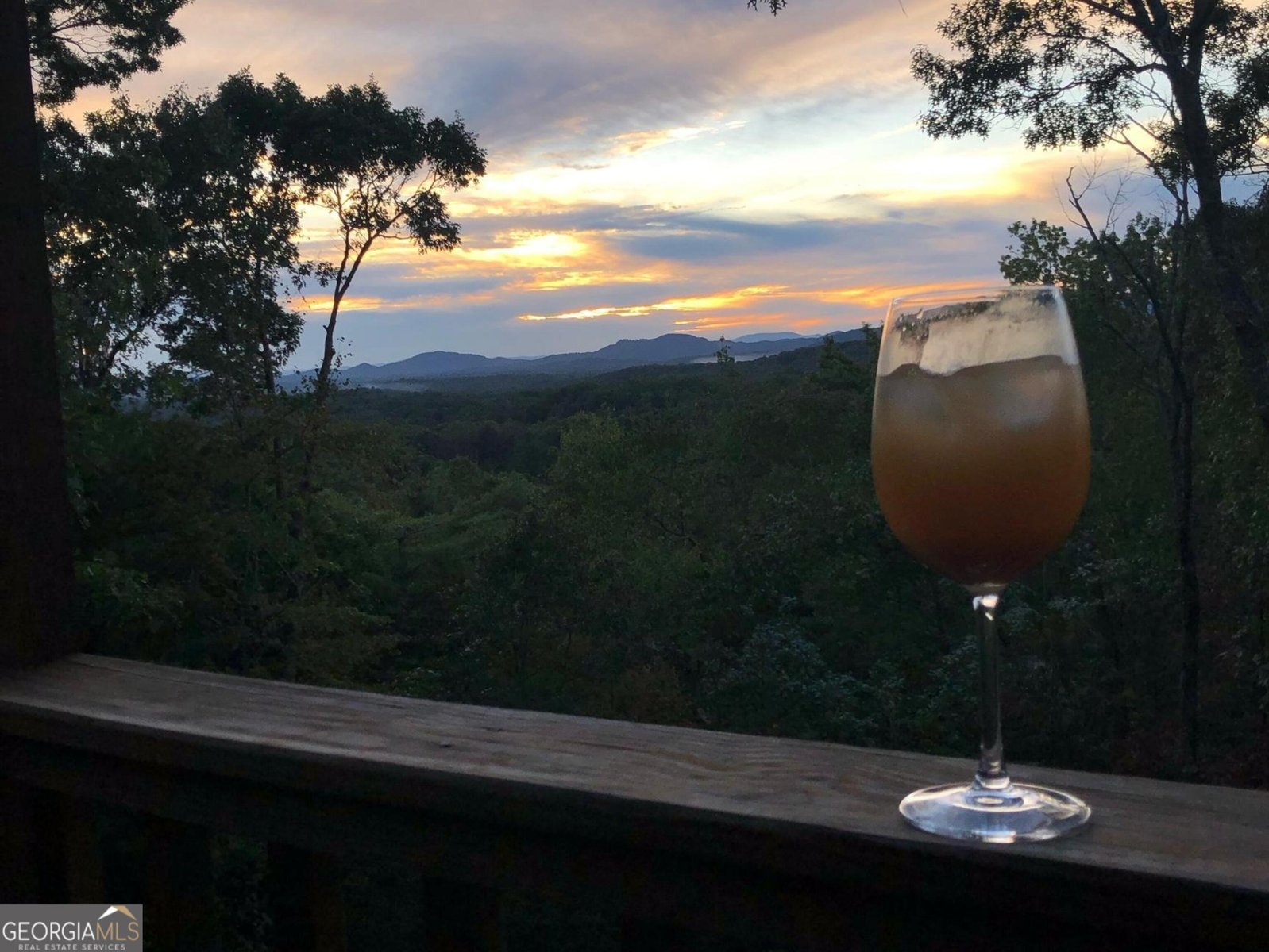 198 Monarch Butterfly Murphy - 50