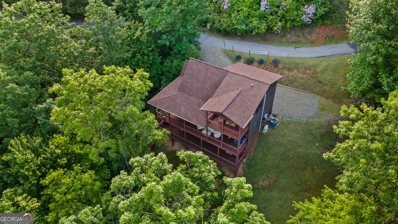 198 Monarch Butterfly Murphy - 6