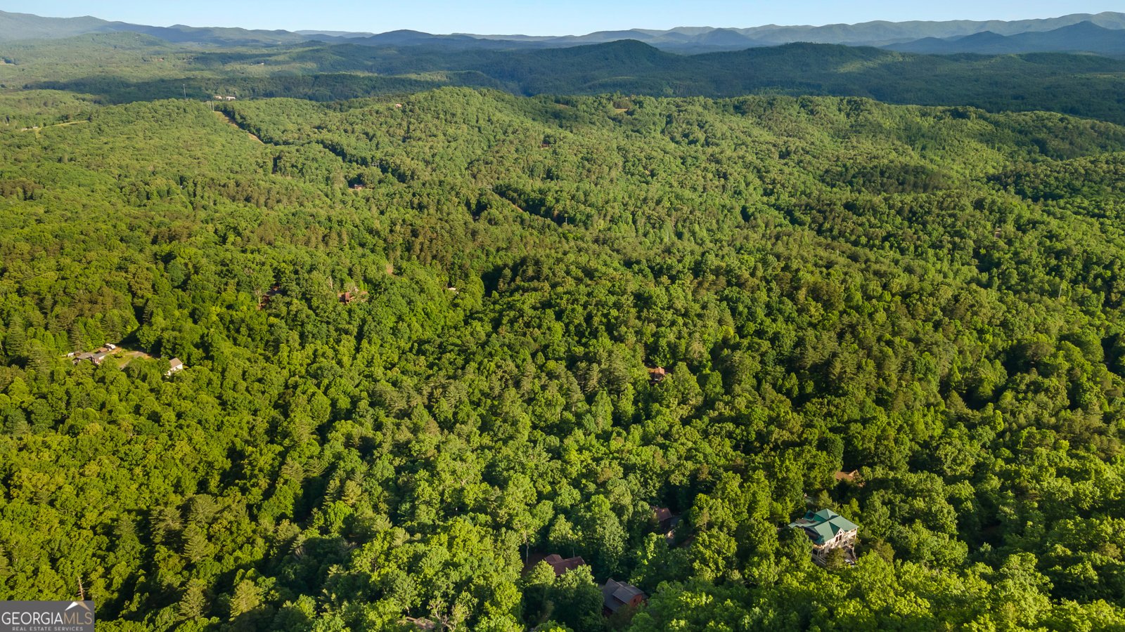 198 Monarch Butterfly Murphy - 8