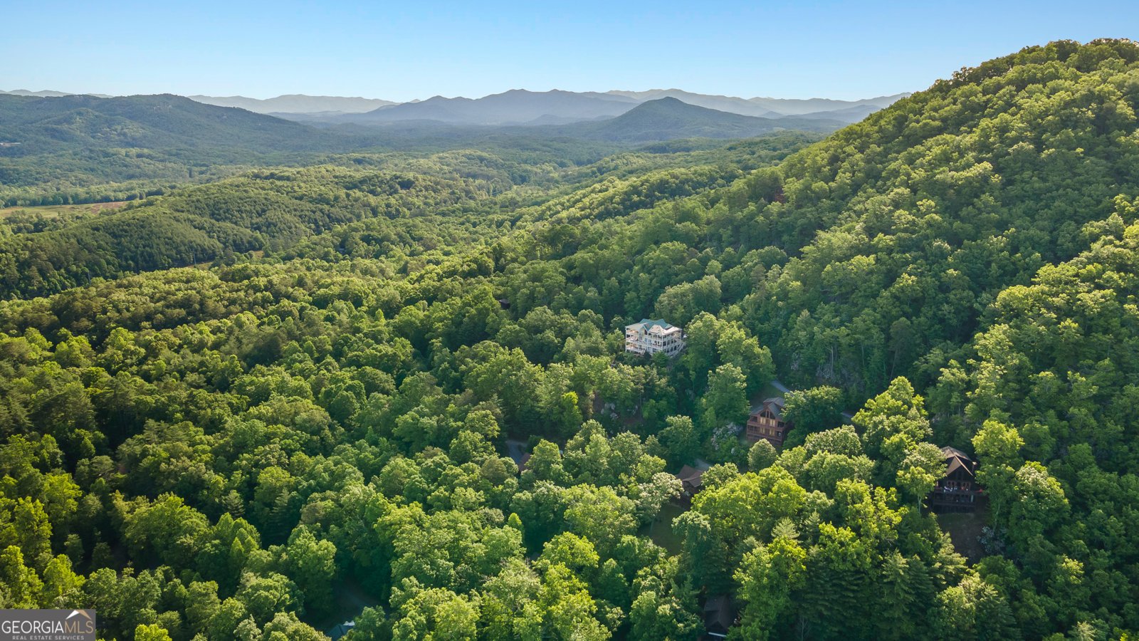 198 Monarch Butterfly Murphy - 9