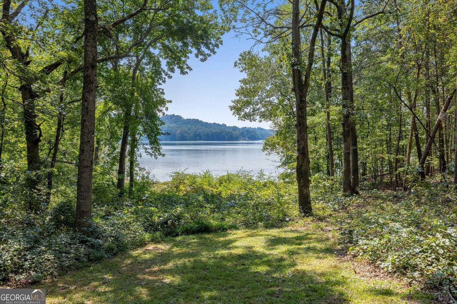 3435 Chestatee Road Gainesville - 2