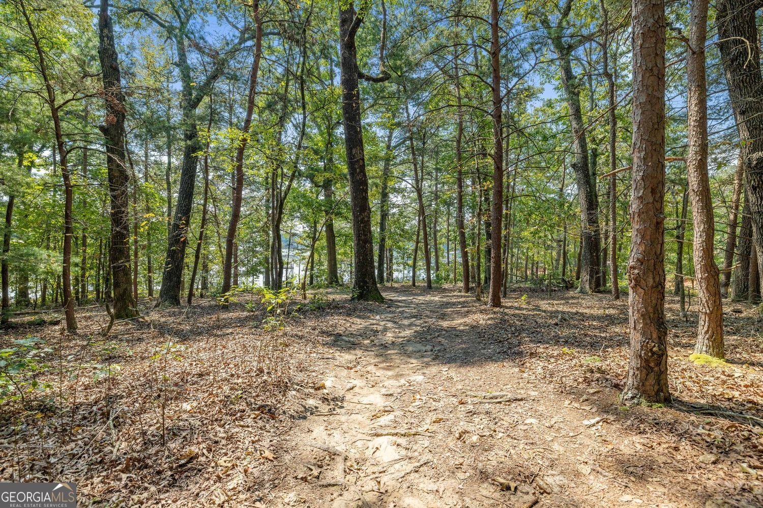3435 Chestatee Road Gainesville - 68