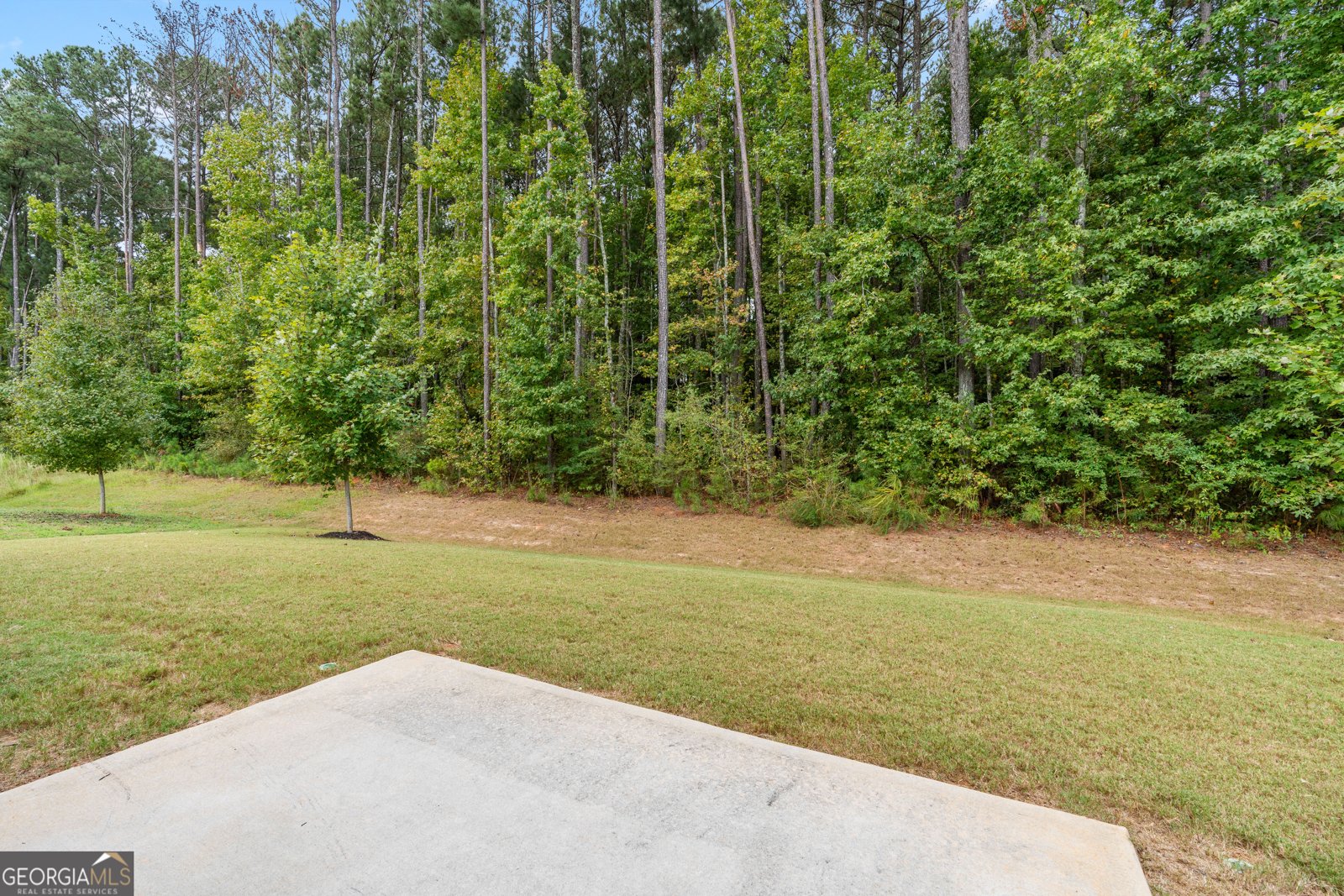 176 Cranapple Lane McDonough - 1