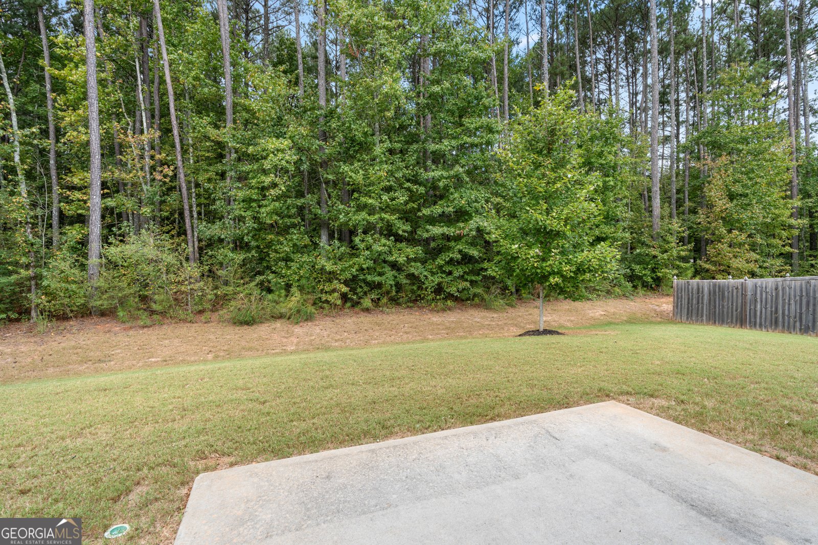 176 Cranapple Lane McDonough - 2
