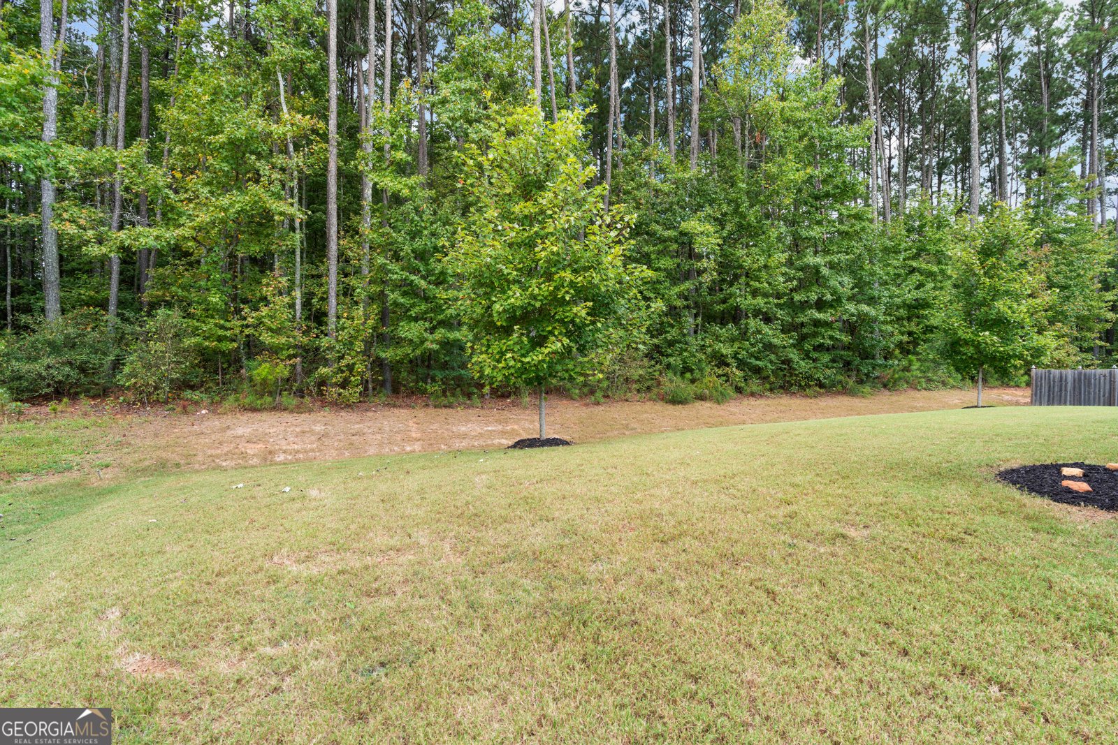 176 Cranapple Lane McDonough - 42