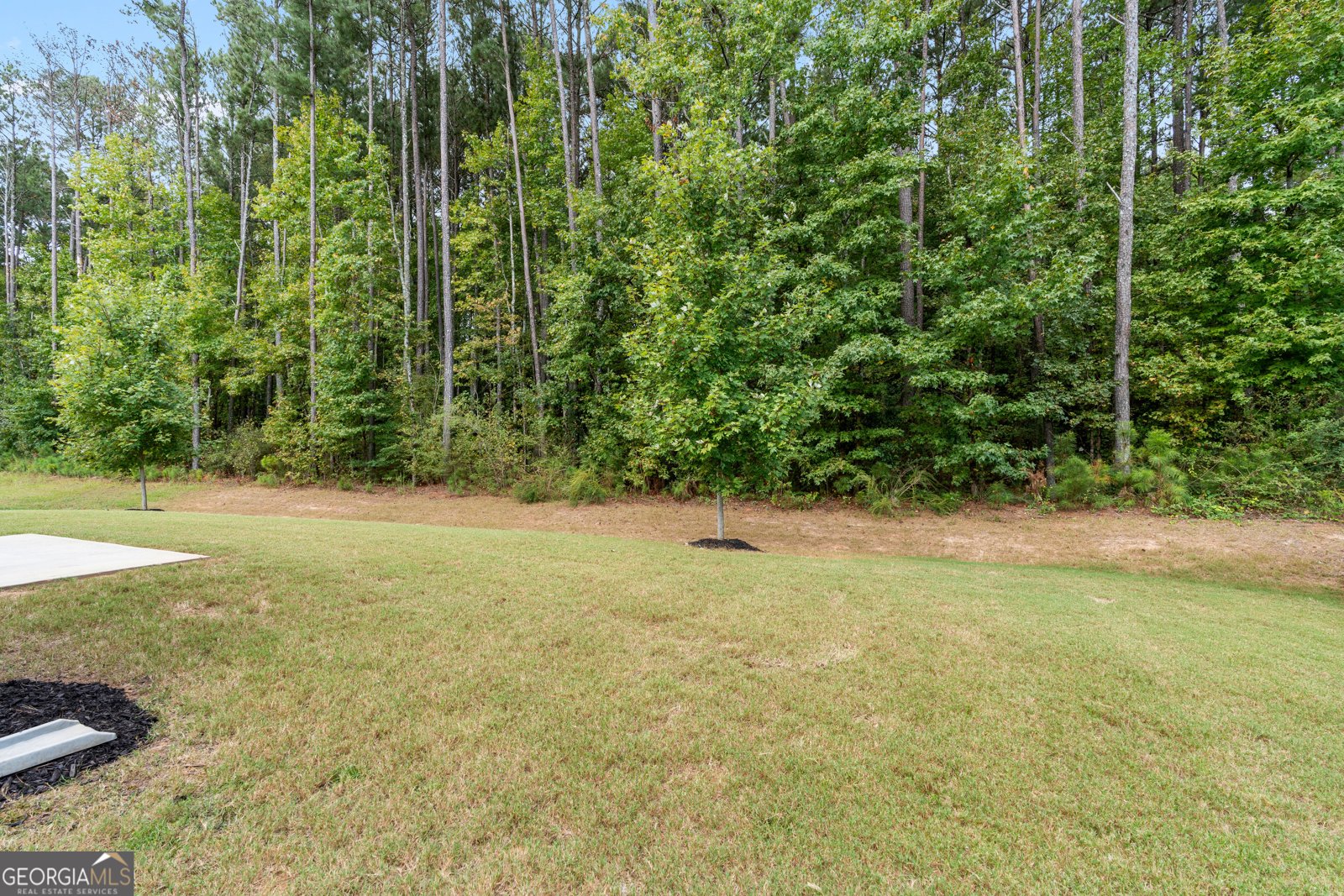176 Cranapple Lane McDonough - 5