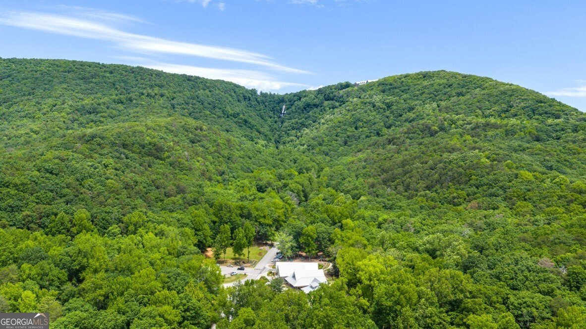 78 Hughes Place Drive Dawsonville - 20