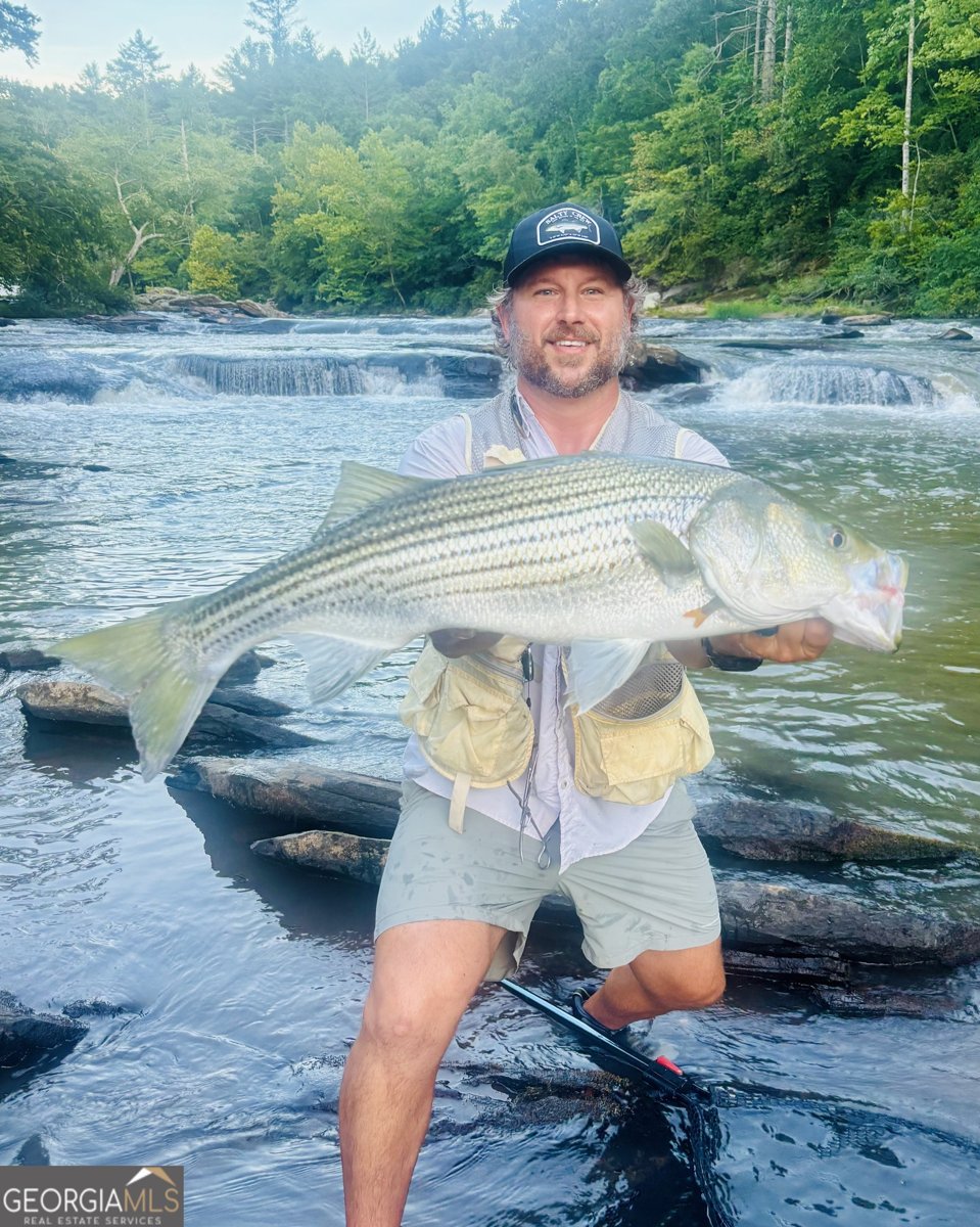 291 Tranquility Drive Demorest - Photo 101