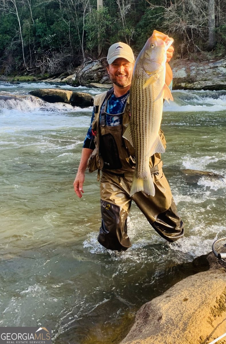 291 Tranquility Drive Demorest - Photo 96