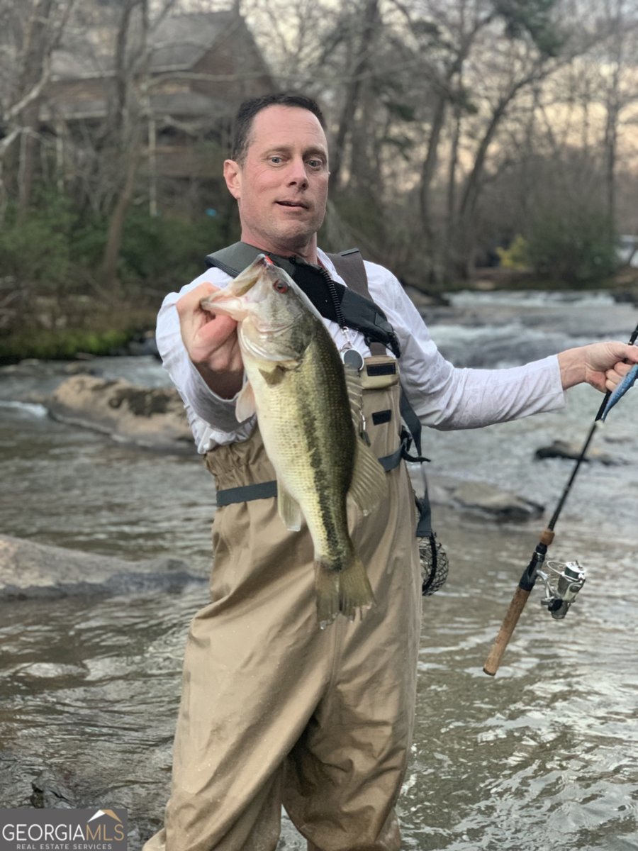 291 Tranquility Drive Demorest - Photo 97