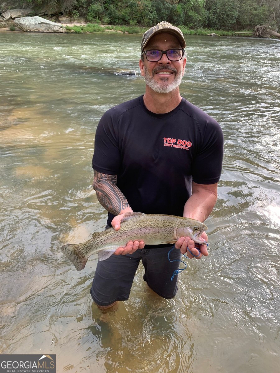 291 Tranquility Drive Demorest - Photo 99