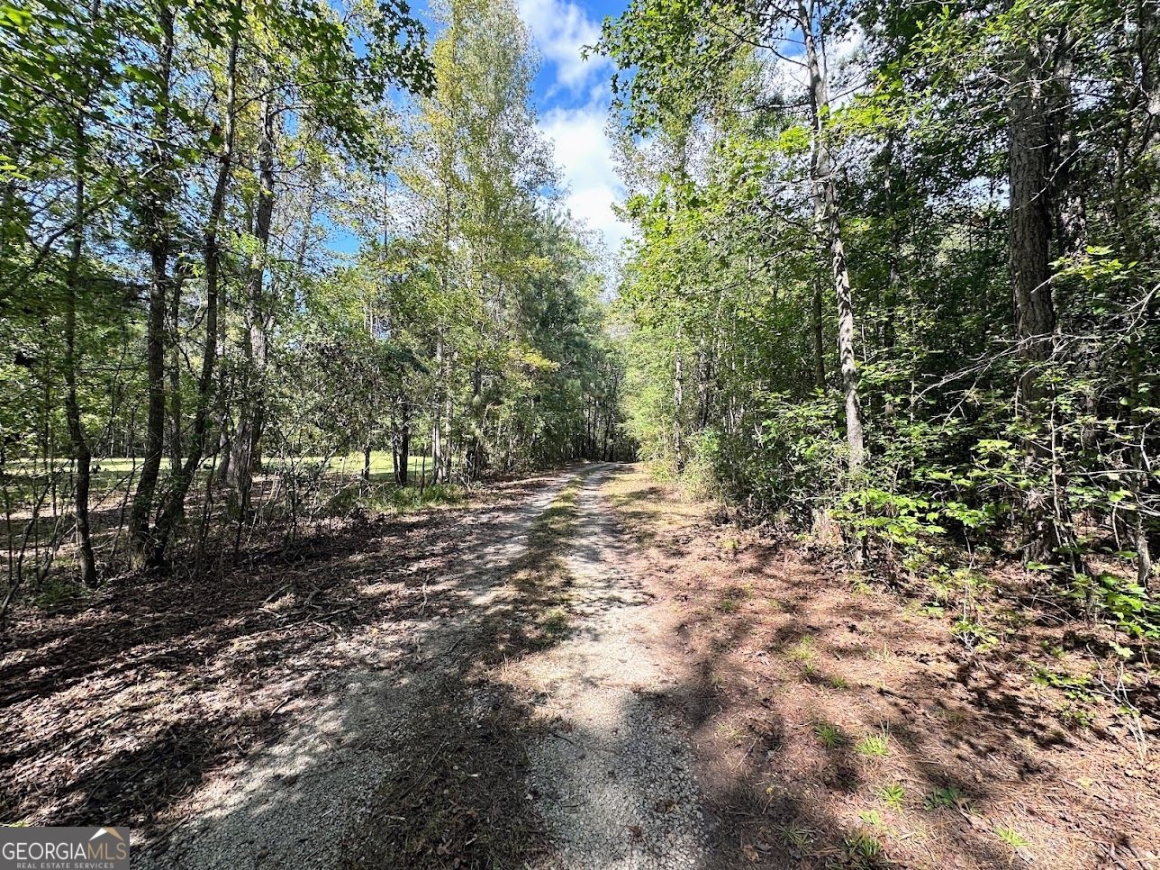 451 Shoal Creek Road Anniston - Photo 65