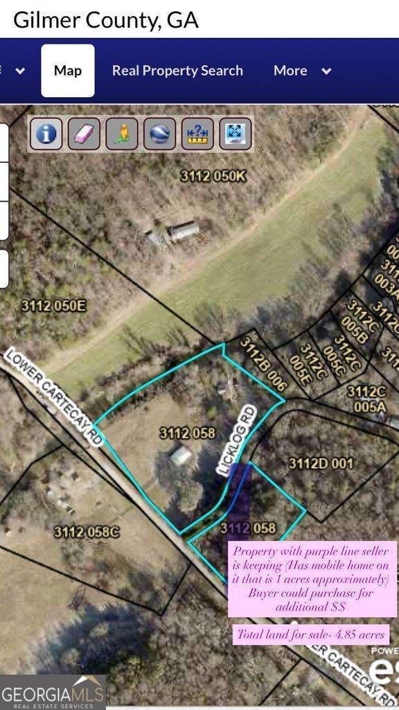 83 Licklog Road Ellijay - 6