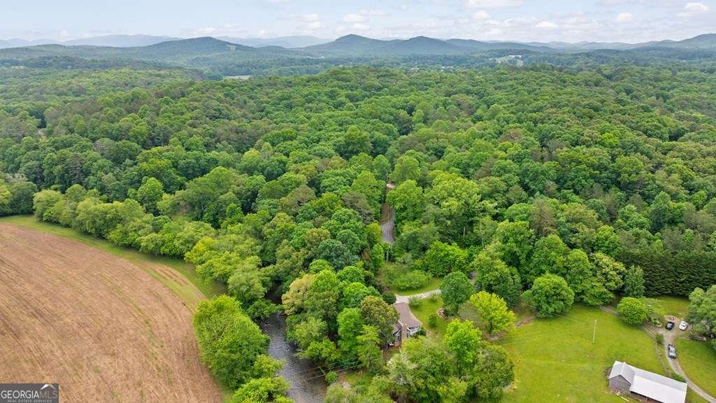 83 Licklog Road Ellijay - 69