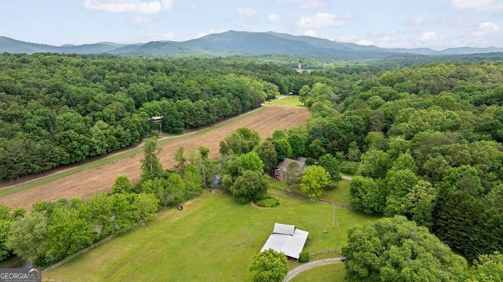 83 Licklog Road Ellijay - 72