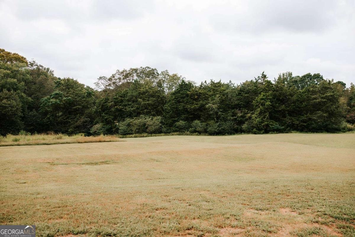 360 Wolfskin Road Arnoldsville - 35