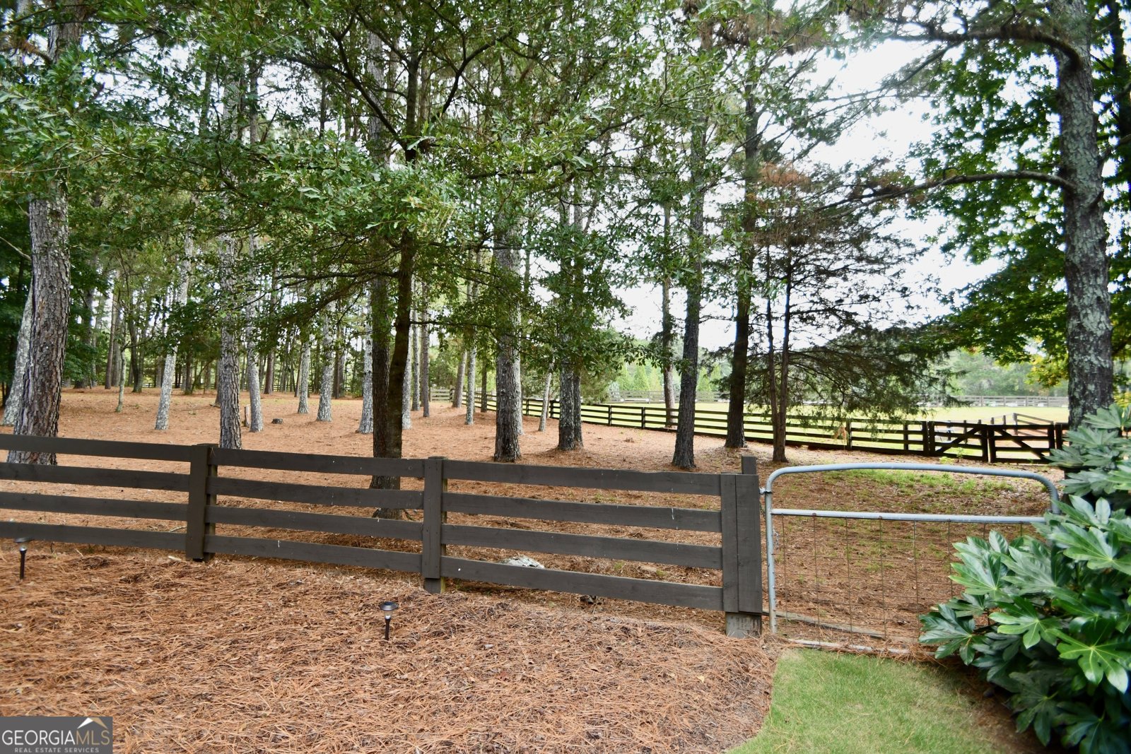 1040 Pimlico Lane Bishop - 73