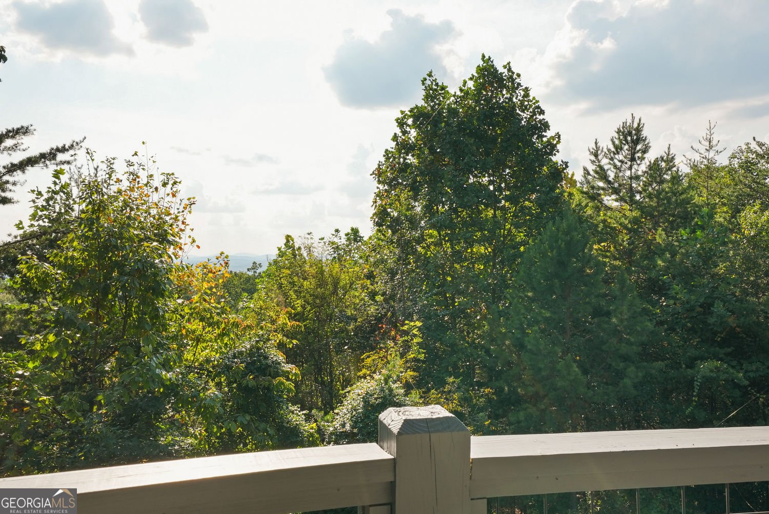603 Yonah Mountain Road Cleveland - 18