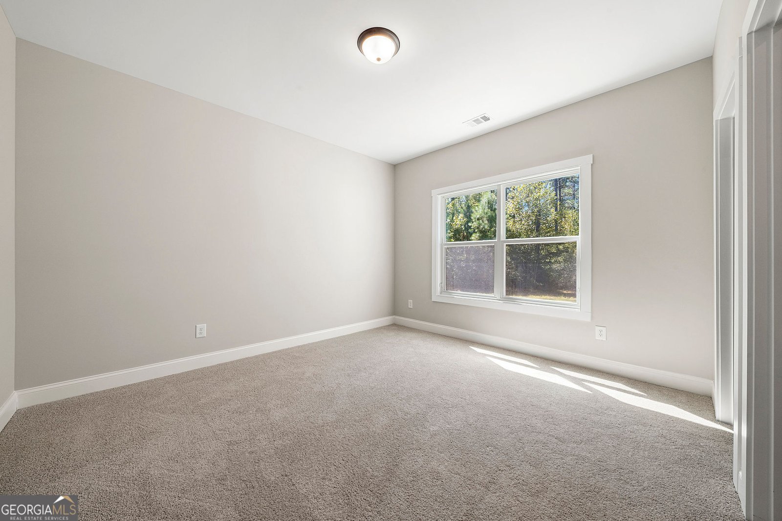 164 Rowe Road Senoia - 22
