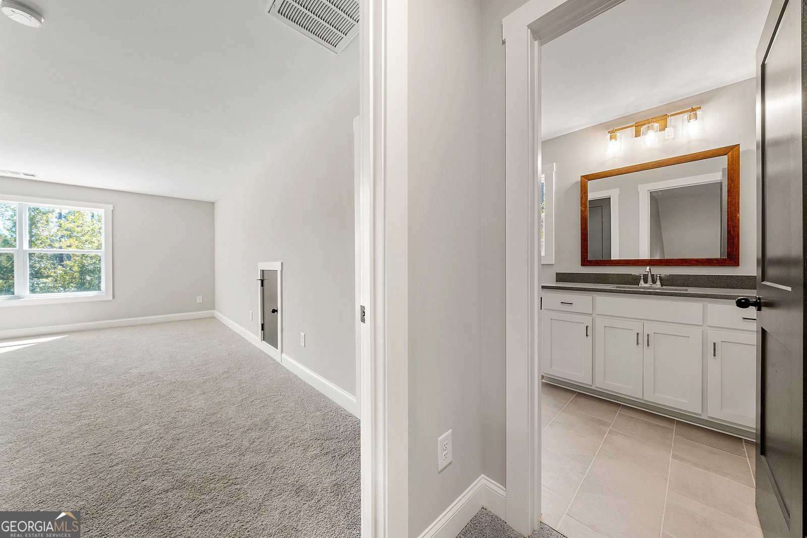 164 Rowe Road Senoia - 26