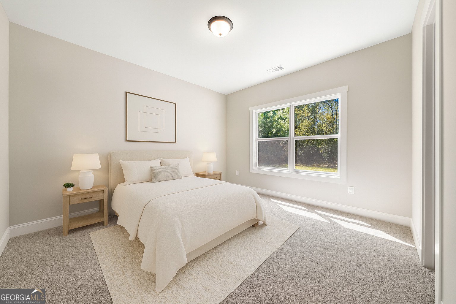 164 Rowe Road Senoia - 46