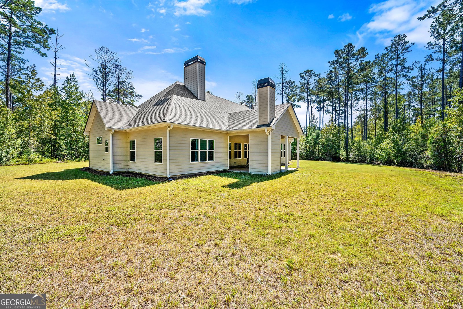 164 Rowe Road Senoia - 57