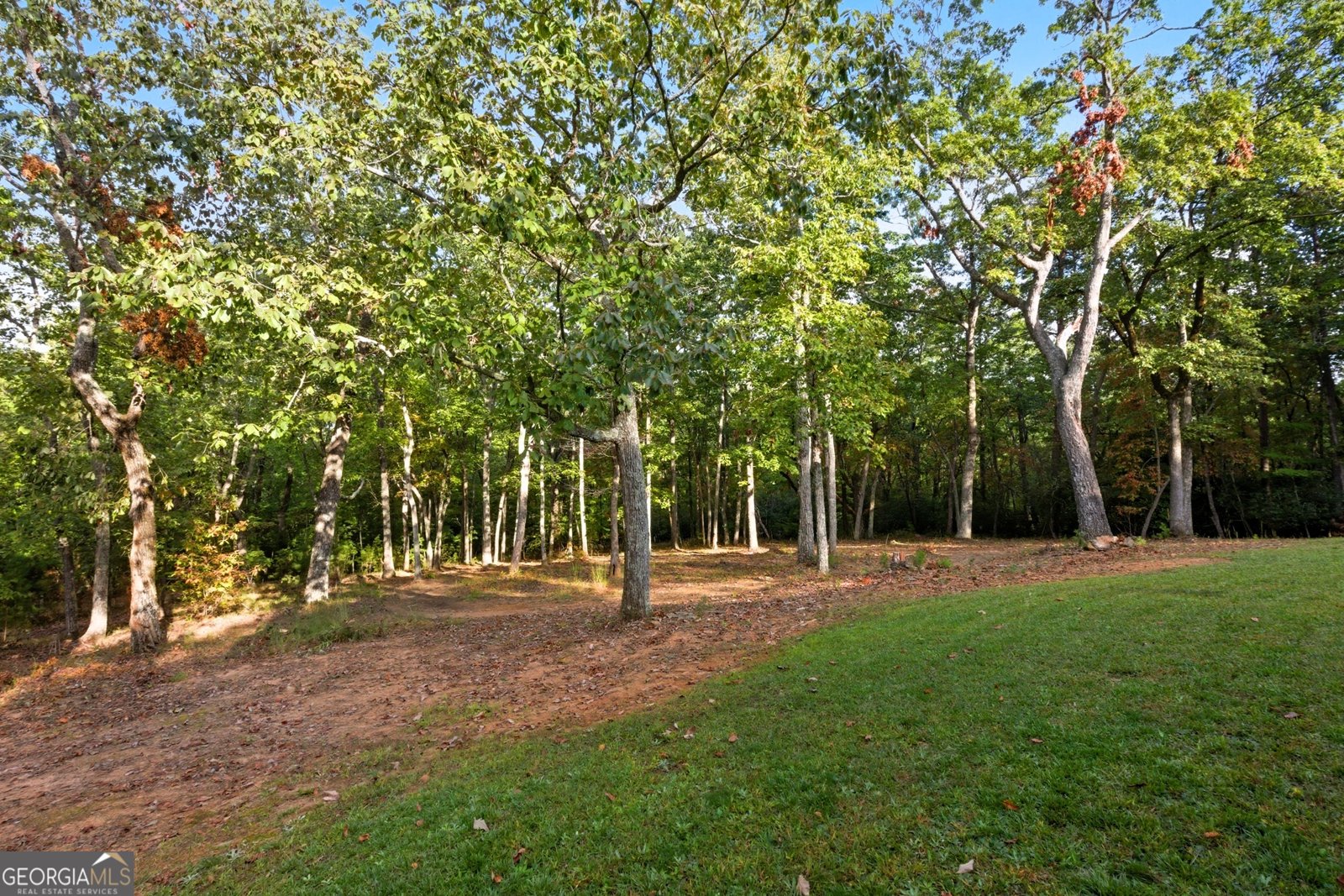 282 Wild Iris Lane Clarkesville - 30