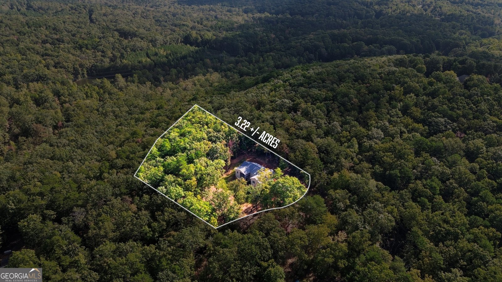 282 Wild Iris Lane Clarkesville - 32
