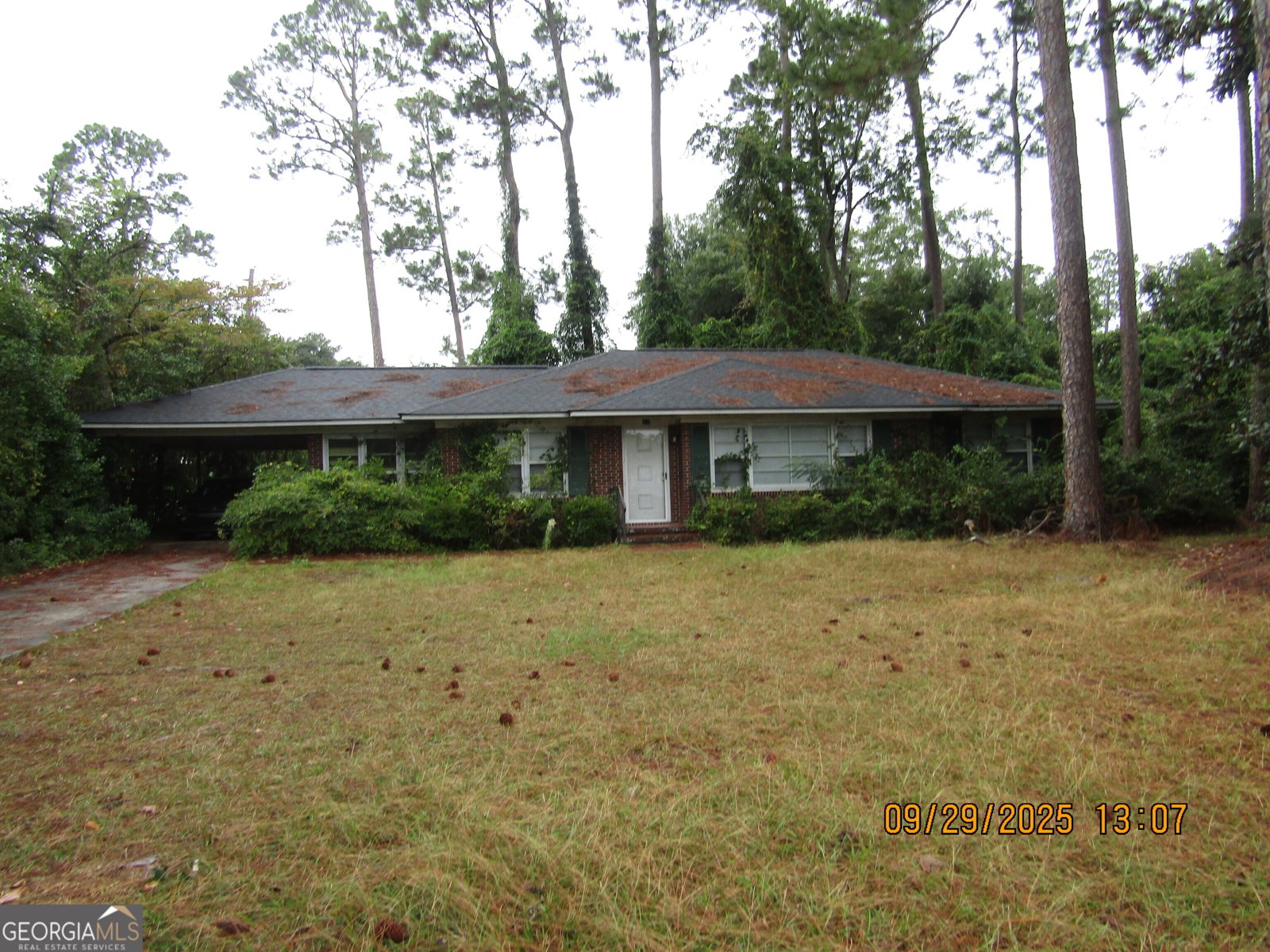 203 Gentilly Road Statesboro - 1