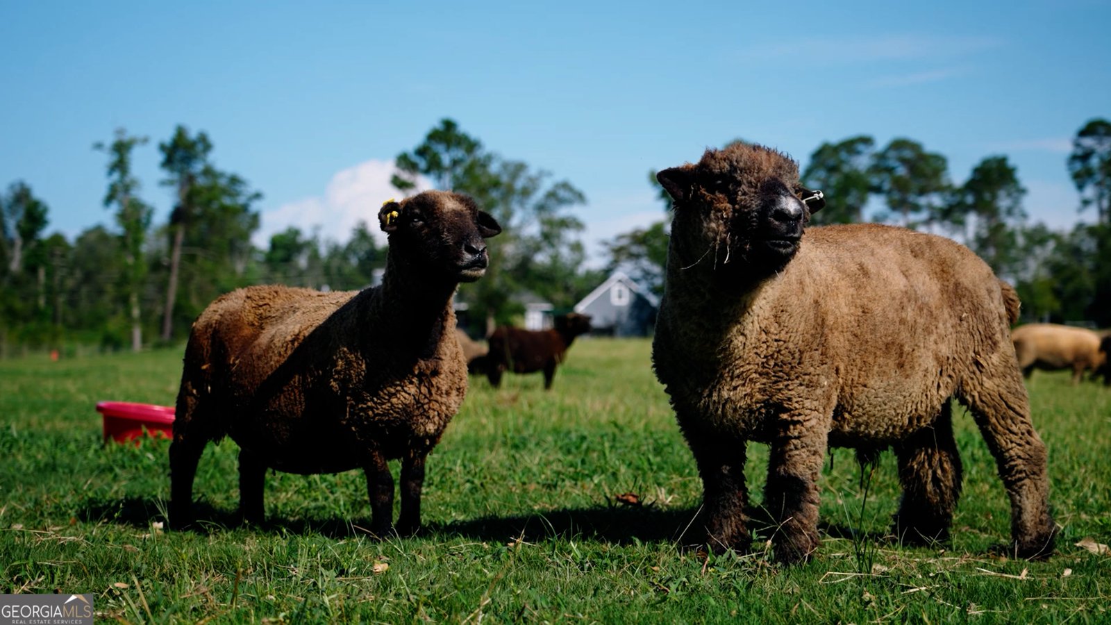 485 Beaver Kreek Road Douglas - Photo 30