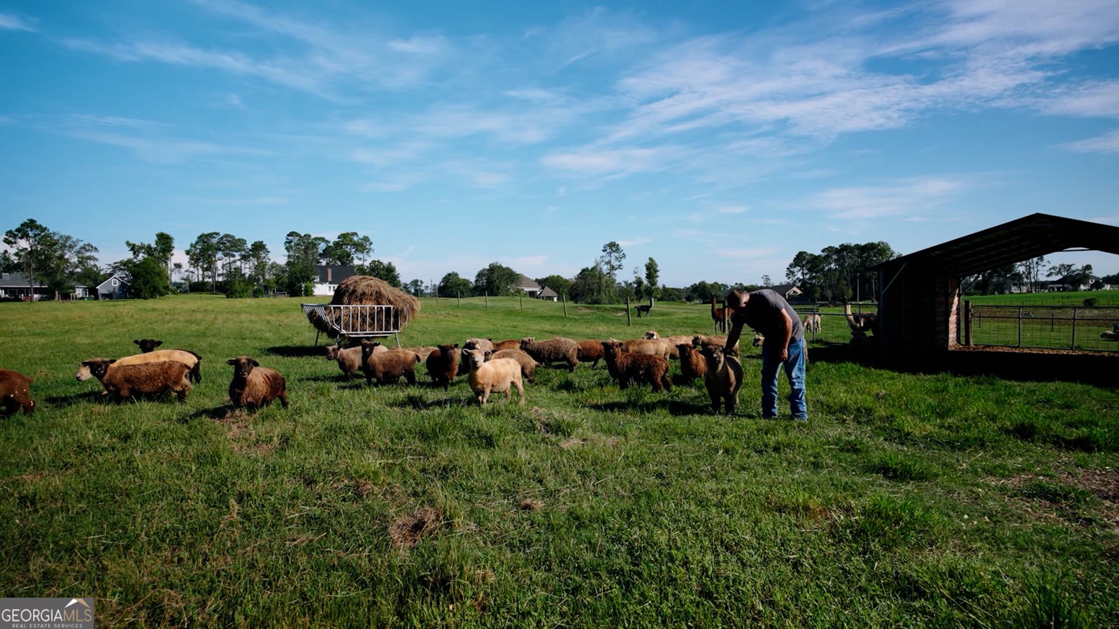 485 Beaver Kreek Road Douglas - Photo 31