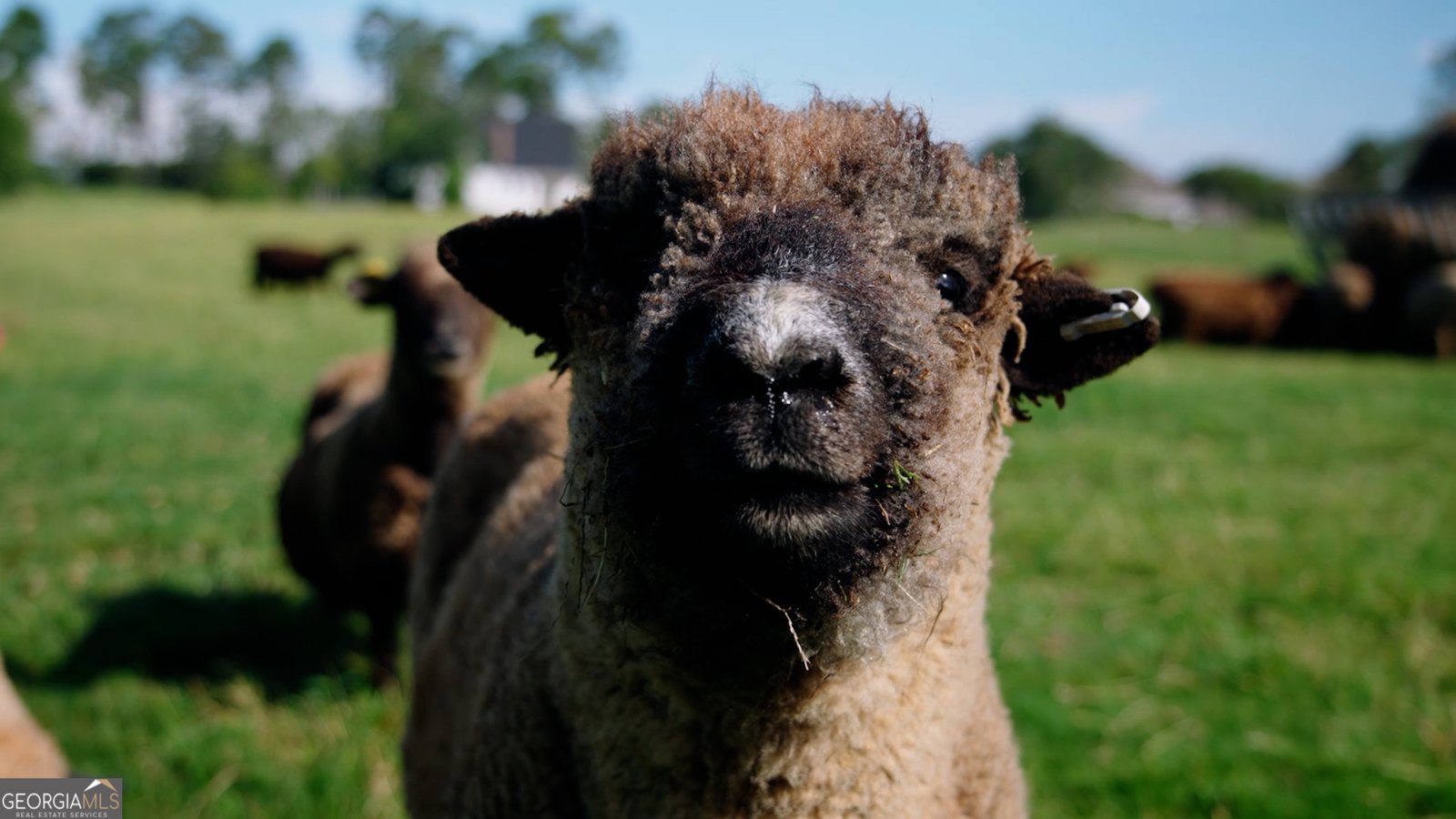 485 Beaver Kreek Road Douglas - Photo 32