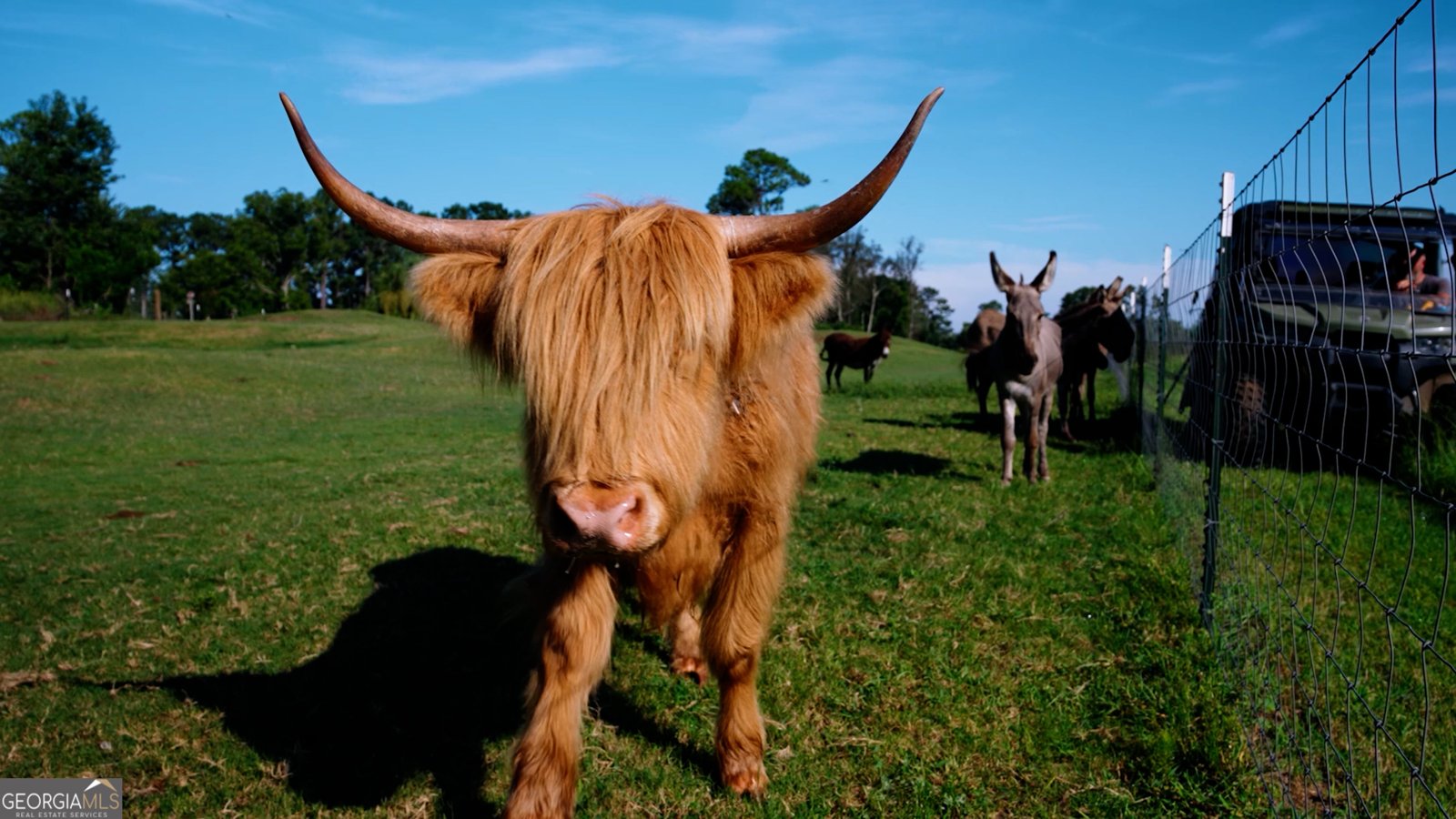 485 Beaver Kreek Road Douglas - Photo 33